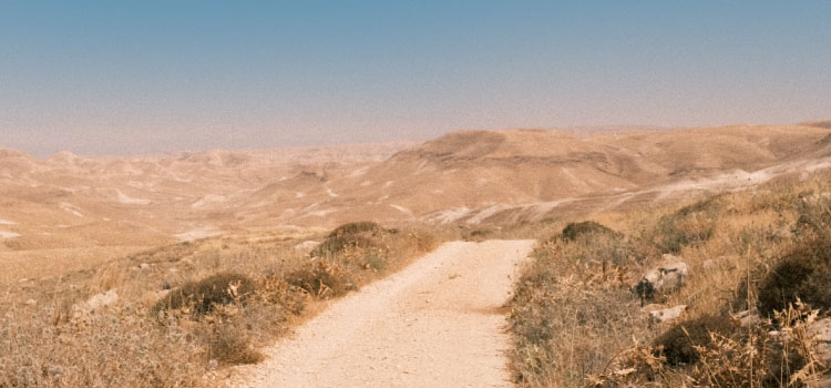 Desert Road