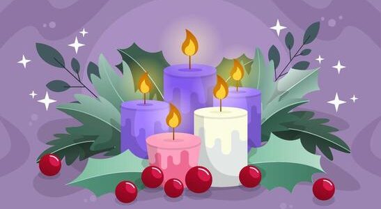 purple and pink candles on advent day christmas
